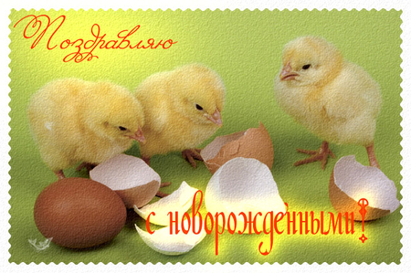 http://2.imgbb.ru/5/5/f/55f908b9f1b48c761e381292b9d840a3.jpg